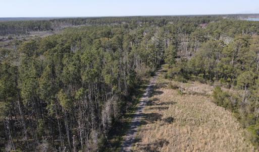 Photo #6 of 178 Mill Point Lane, Williston, NC 42.6 acres