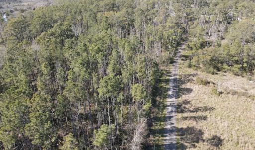 Photo #9 of 178 Mill Point Lane, Williston, NC 42.6 acres