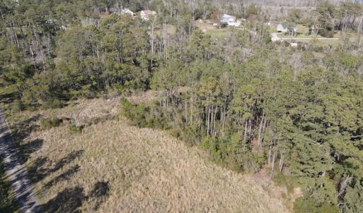 Photo #10 of 178 Mill Point Lane, Williston, NC 42.6 acres