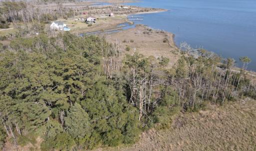 Photo #11 of 178 Mill Point Lane, Williston, NC 42.6 acres