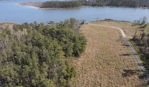 Photo #16 of 178 Mill Point Lane, Williston, NC 42.6 acres