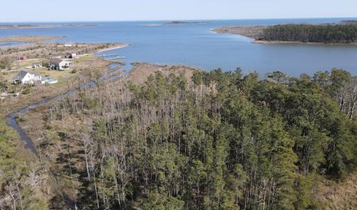 Photo #17 of 178 Mill Point Lane, Williston, NC 42.6 acres