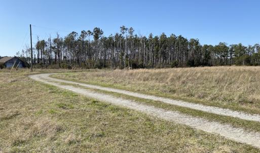 Photo #22 of 178 Mill Point Lane, Williston, NC 42.6 acres