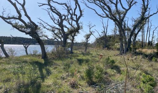 Photo #23 of 178 Mill Point Lane, Williston, NC 42.6 acres