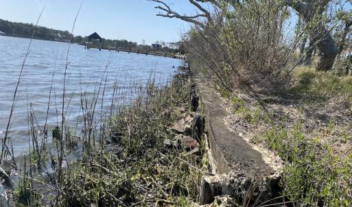 Photo #25 of 178 Mill Point Lane, Williston, NC 42.6 acres