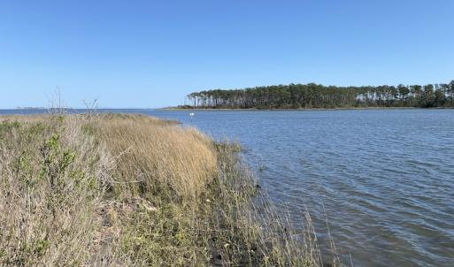 Photo #26 of 178 Mill Point Lane, Williston, NC 42.6 acres