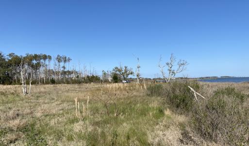 Photo #27 of 178 Mill Point Lane, Williston, NC 42.6 acres