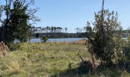 Photo #30 of 178 Mill Point Lane, Williston, NC 42.6 acres
