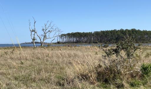 Photo #31 of 178 Mill Point Lane, Williston, NC 42.6 acres
