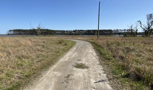 Photo #33 of 178 Mill Point Lane, Williston, NC 42.6 acres