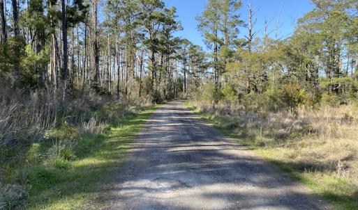 Photo #34 of 178 Mill Point Lane, Williston, NC 42.6 acres