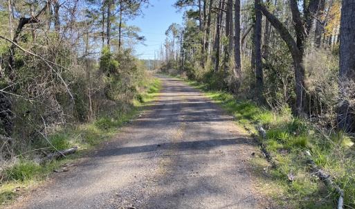Photo #37 of 178 Mill Point Lane, Williston, NC 42.6 acres