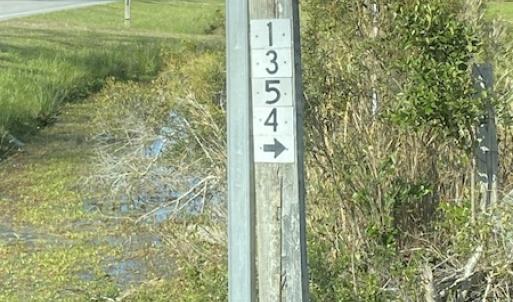 Photo #36 of 178 Mill Point Lane, Williston, NC 42.6 acres