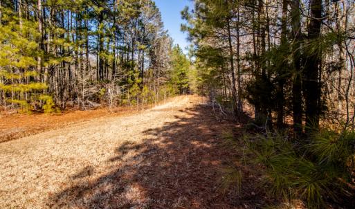 Photo #13 of SOLD property in 1528 Bertha Drive, Creedmoor, NC 5.1 acres