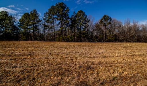 Photo #19 of SOLD property in 1528 Bertha Drive, Creedmoor, NC 5.1 acres