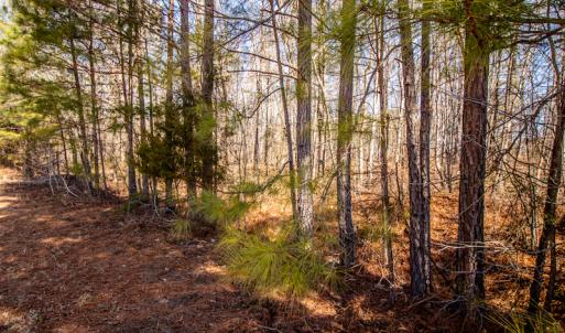 Photo #13 of SOLD property in 1530 Bertha Drive, Creedmoor, NC 5.1 acres