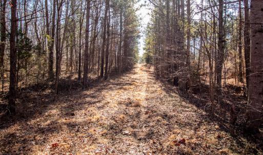 Photo #19 of SOLD property in 1530 Bertha Drive, Creedmoor, NC 5.1 acres