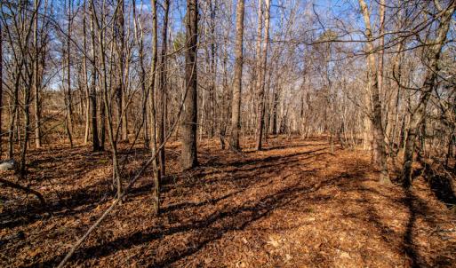 Photo #22 of SOLD property in 1530 Bertha Drive, Creedmoor, NC 5.1 acres