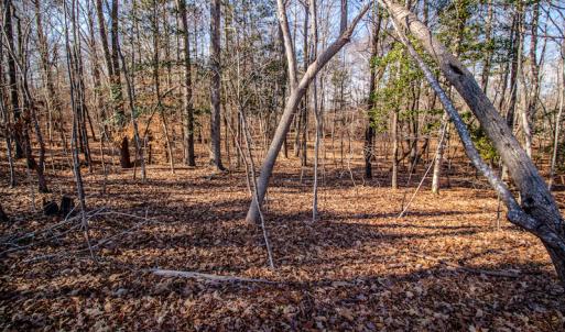 Photo #23 of SOLD property in 1530 Bertha Drive, Creedmoor, NC 5.1 acres