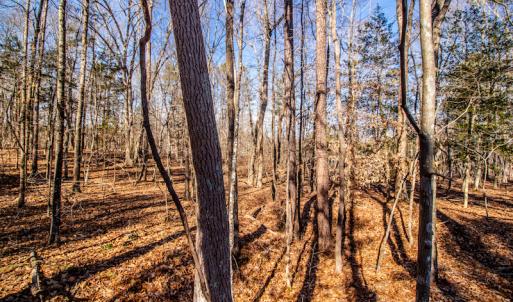 Photo #24 of SOLD property in 1530 Bertha Drive, Creedmoor, NC 5.1 acres