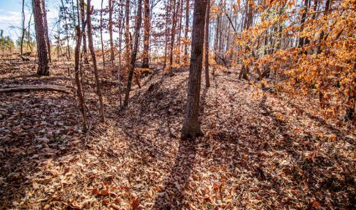 Photo #25 of SOLD property in 1530 Bertha Drive, Creedmoor, NC 5.1 acres