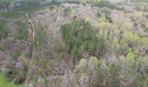 Photo #10 of SOLD property in Off Sutherland Road, Sutherland, VA 10.0 acres