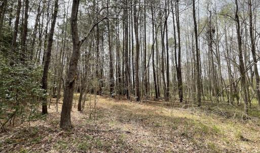 Photo #11 of SOLD property in Off Sutherland Road, Sutherland, VA 10.0 acres