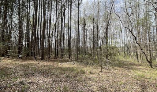 Photo #12 of SOLD property in Off Sutherland Road, Sutherland, VA 10.0 acres