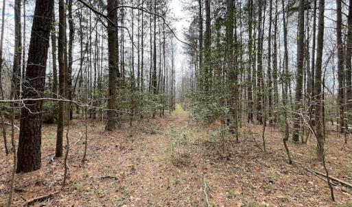 Photo #13 of SOLD property in Off Sutherland Road, Sutherland, VA 10.0 acres