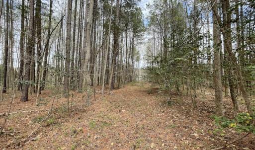 Photo #14 of SOLD property in Off Sutherland Road, Sutherland, VA 10.0 acres