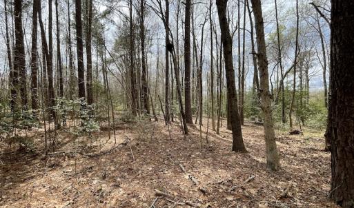 Photo #15 of SOLD property in Off Sutherland Road, Sutherland, VA 10.0 acres