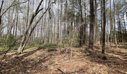 Photo #16 of SOLD property in Off Sutherland Road, Sutherland, VA 10.0 acres