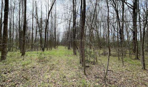 Photo #17 of SOLD property in Off Sutherland Road, Sutherland, VA 10.0 acres