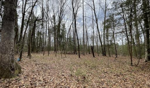 Photo #18 of SOLD property in Off Sutherland Road, Sutherland, VA 10.0 acres