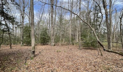 Photo #19 of SOLD property in Off Sutherland Road, Sutherland, VA 10.0 acres