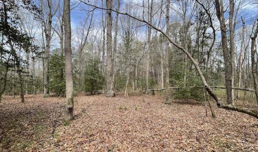 Photo #19 of SOLD property in Off Sutherland Road, Sutherland, VA 10.0 acres