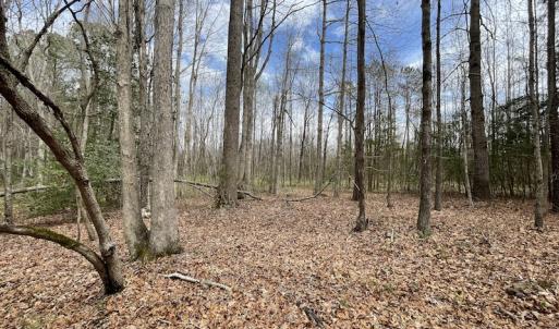 Photo #20 of SOLD property in Off Sutherland Road, Sutherland, VA 10.0 acres