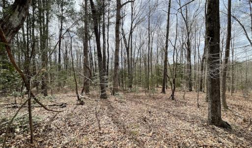 Photo #21 of SOLD property in Off Sutherland Road, Sutherland, VA 10.0 acres