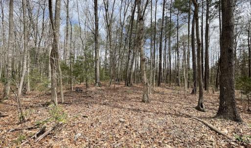 Photo #22 of SOLD property in Off Sutherland Road, Sutherland, VA 10.0 acres