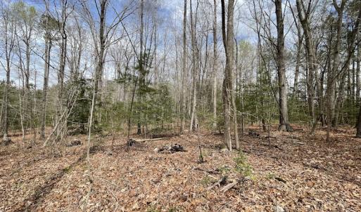 Photo #23 of SOLD property in Off Sutherland Road, Sutherland, VA 10.0 acres