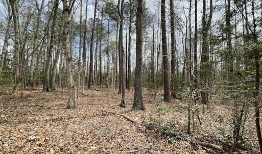 Photo #24 of SOLD property in Off Sutherland Road, Sutherland, VA 10.0 acres