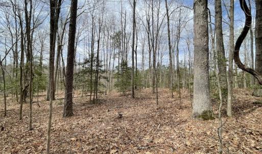 Photo #25 of SOLD property in Off Sutherland Road, Sutherland, VA 10.0 acres