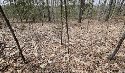 Photo #26 of SOLD property in Off Sutherland Road, Sutherland, VA 10.0 acres