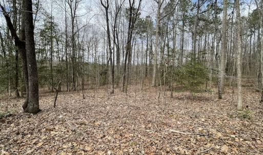 Photo #28 of SOLD property in Off Sutherland Road, Sutherland, VA 10.0 acres