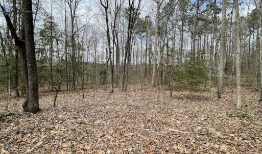 Photo #28 of SOLD property in Off Sutherland Road, Sutherland, VA 10.0 acres