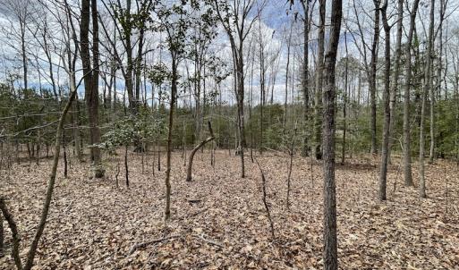 Photo #29 of SOLD property in Off Sutherland Road, Sutherland, VA 10.0 acres
