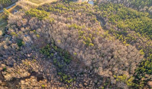 Photo #3 of SOLD property in Off Sutherland Road, Sutherland, VA 10.0 acres