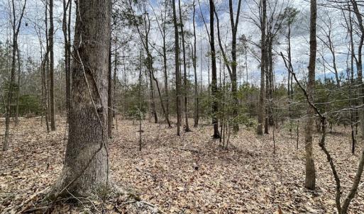 Photo #30 of SOLD property in Off Sutherland Road, Sutherland, VA 10.0 acres