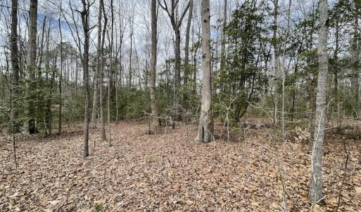 Photo #31 of SOLD property in Off Sutherland Road, Sutherland, VA 10.0 acres