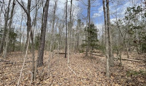 Photo #32 of SOLD property in Off Sutherland Road, Sutherland, VA 10.0 acres